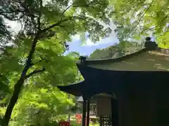 普門寺(切り絵御朱印発祥の寺)(愛知県)