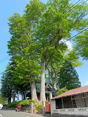 甲波宿祢神社の自然