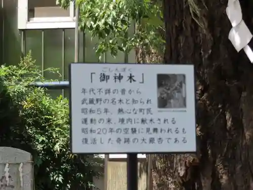 大鳥神社(東京都)