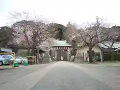 大津諏訪神社の建物その他