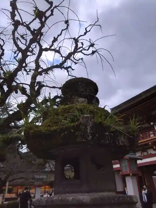 太宰府天満宮(福岡県)