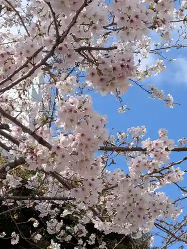 渋谷氷川神社(東京都)