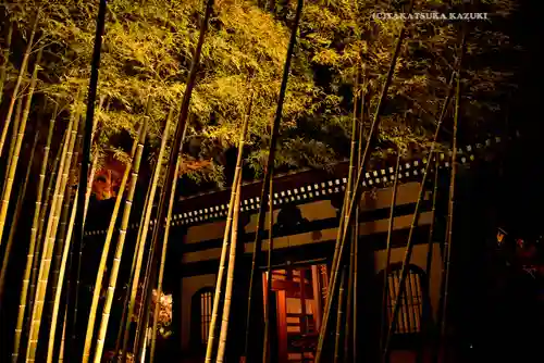 長谷寺(神奈川県)