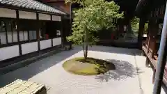 建仁寺（建仁禅寺）の庭園