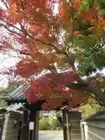 浄光明寺の山門・神門