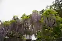 三大神社(滋賀県)