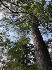 鈴森神社の自然