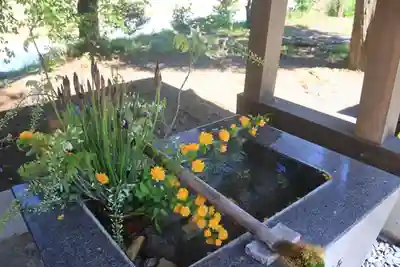 高司神社〜むすびの神の鎮まる社〜の手水舎