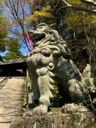 吉水神社の狛犬