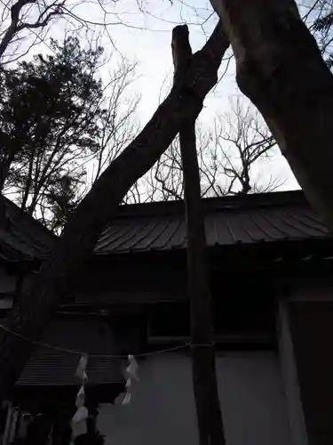 新屋山神社の建物その他