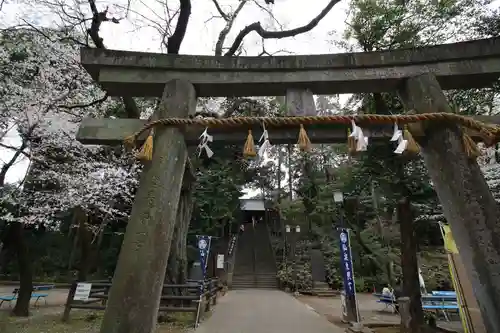 仙波東照宮の鳥居