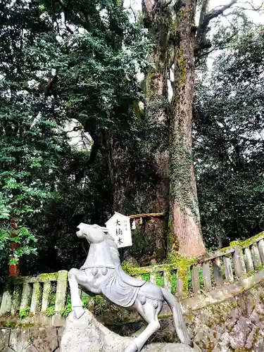 八幡朝見神社の狛犬