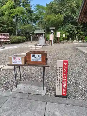 櫻木神社(千葉県)