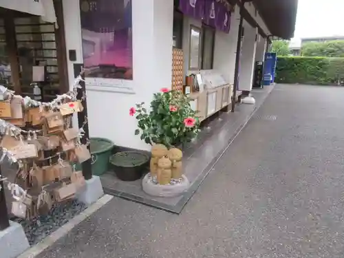 伝通院(東京都)