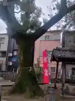 太間天満宮(大阪府)