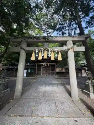 小竹八幡神社の{uncategorized: "未分類", other: "その他", undefined: "問題あり", building: "その他建物", grave: "お墓", sacred_gate: "鳥居", guardian: "狛犬", statue: "像", buddha: "仏像", history: "歴史", nature: "自然", garden: "庭園", animal: "動物", pagoda: "塔", temizu: "手水舎", mountain_gate: "山門・神門", sanctuary: "本殿・本堂", subordinate: "末社・摂社", art: "芸術", scenery: "景色", jizo: "地蔵", ema: "絵馬", goshuin: "御朱印", omikuji: "おみくじ", items: "授与品その他", amulet: "お守り", goshuincho: "御朱印帳", eats: "食事", festival: "お祭り", votive_dance: "神楽", shichigosan: "七五三参", wedding: "結婚式", experience: "体験その他", initially: "初詣", around: "周辺", anti_infection: "感染症対策"}