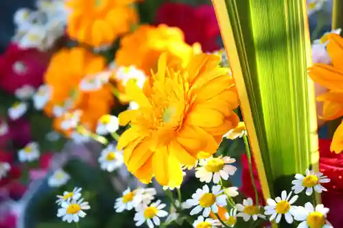 三津厳島神社の手水舎