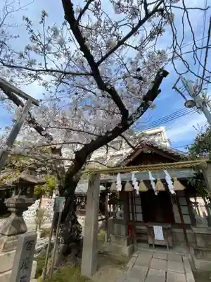 神明神社の自然