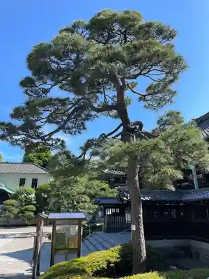 泉岳寺(東京都)