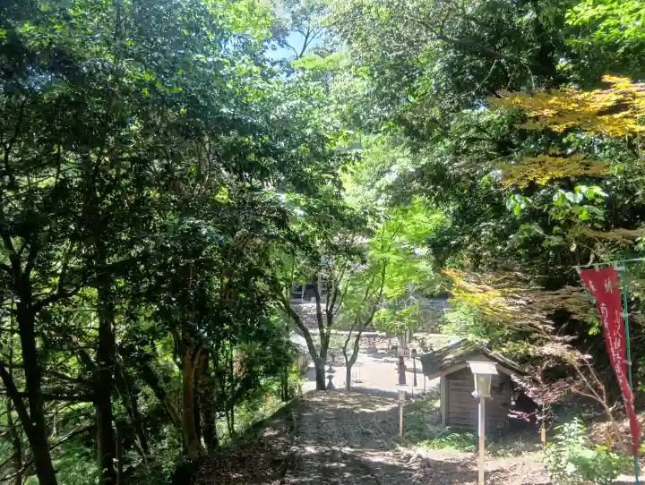 日龍峯寺(高澤観音)(美濃清水)の{uncategorized: "未分類", other: "その他", undefined: "問題あり", building: "その他建物", grave: "お墓", sacred_gate: "鳥居", guardian: "狛犬", statue: "像", buddha: "仏像", history: "歴史", nature: "自然", garden: "庭園", animal: "動物", pagoda: "塔", temizu: "手水舎", mountain_gate: "山門・神門", sanctuary: "本殿・本堂", subordinate: "末社・摂社", art: "芸術", scenery: "景色", jizo: "地蔵", ema: "絵馬", goshuin: "御朱印", omikuji: "おみくじ", items: "授与品その他", amulet: "お守り", goshuincho: "御朱印帳", eats: "食事", festival: "お祭り", votive_dance: "神楽", shichigosan: "七五三参", wedding: "結婚式", experience: "体験その他", initially: "初詣", around: "周辺", anti_infection: "感染症対策"}