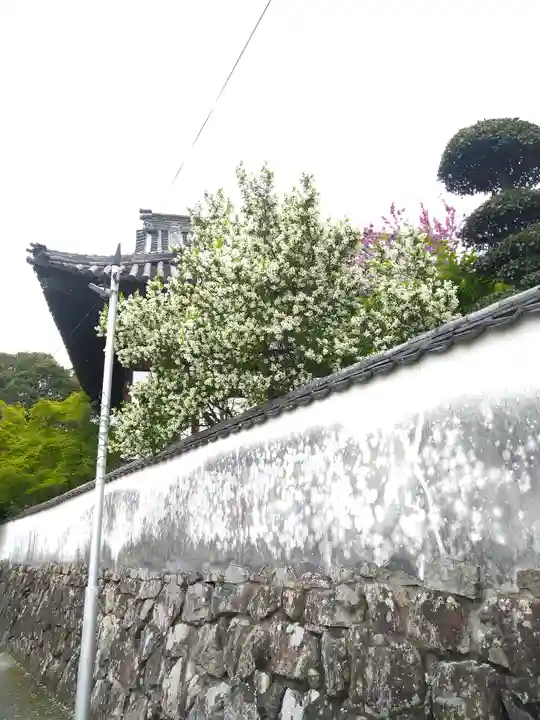阿智神社の周辺