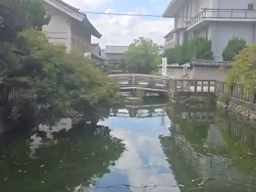 東寺（教王護国寺）の庭園