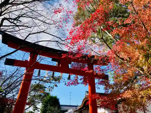 宇治上神社の鳥居