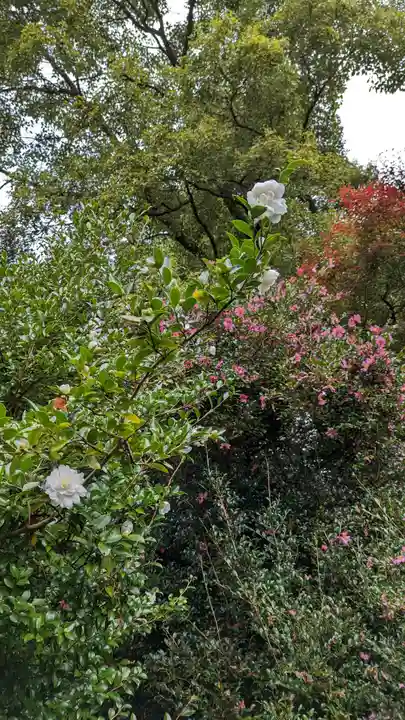 霊鑑寺門跡(京都府)