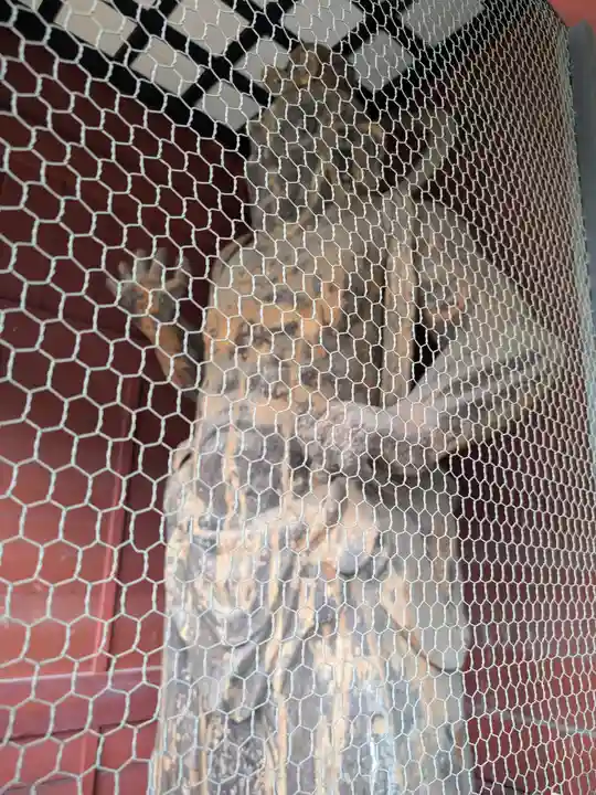 普明寺大日堂(東京都)