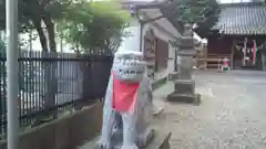 宮城野八幡神社の狛犬