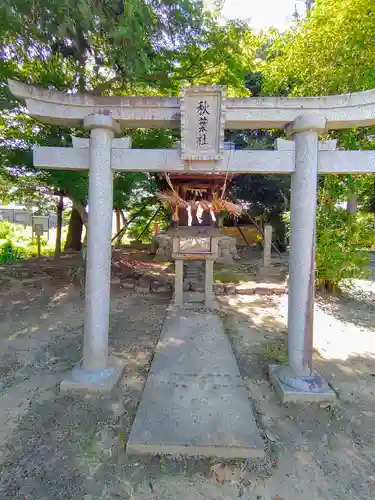 大毛神社（大毛五百入塚）の鳥居