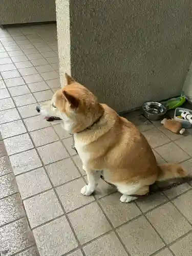 笠䅣稲荷神社(神奈川県)
