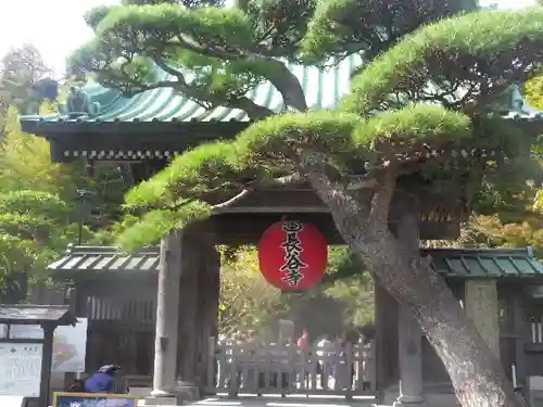 長谷寺の山門・神門