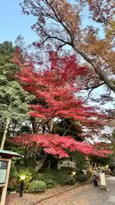 【閉業】小石川大神宮(東京都)