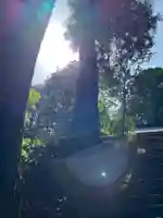 大宮温泉神社の自然