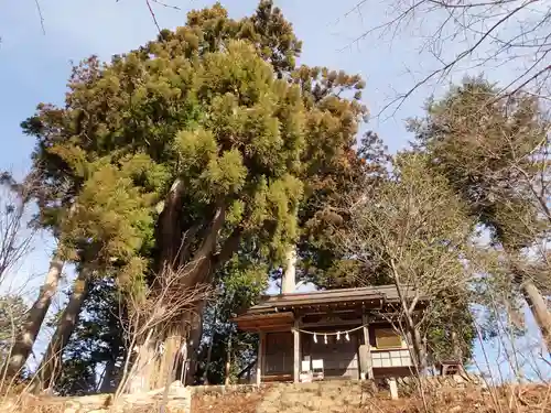 産安社（武蔵御嶽神社摂社）のその他建物