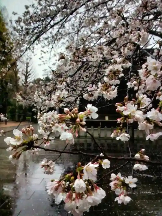 熊野神社(東京都)