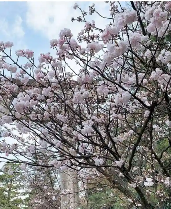 御香宮神社(京都府)