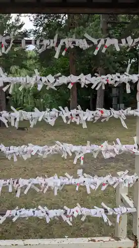 上川神社頓宮のおみくじ