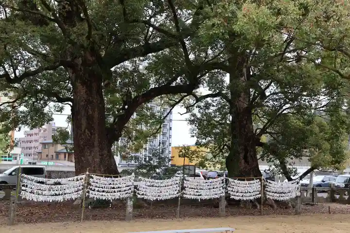 諫早神社(九州総守護 四面宮)(長崎県)