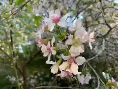 普門寺(切り絵御朱印発祥の寺)(愛知県)