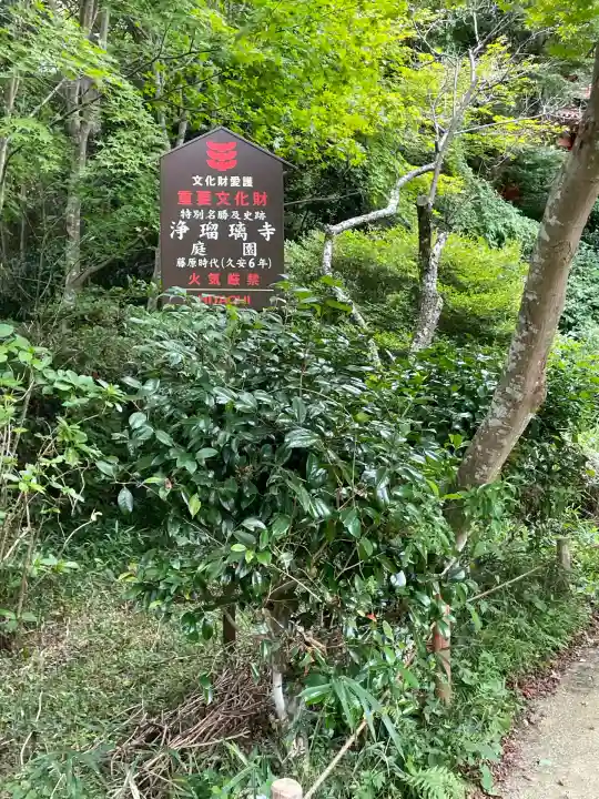 浄瑠璃寺(京都府)
