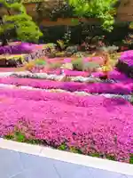 寿量山 速成寺の庭園