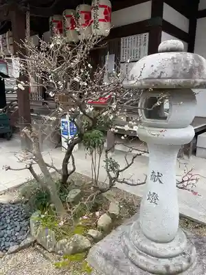 観音院(兵庫県)