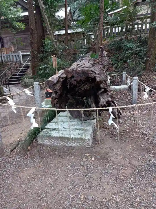 泉神社の御朱印