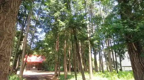 中里氷川神社の周辺