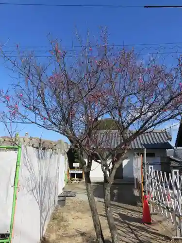 柳澤神社の庭園