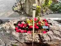 阿智神社の{uncategorized: "未分類", other: "その他", undefined: "問題あり", building: "その他建物", grave: "お墓", sacred_gate: "鳥居", guardian: "狛犬", statue: "像", buddha: "仏像", history: "歴史", nature: "自然", garden: "庭園", animal: "動物", pagoda: "塔", temizu: "手水舎", mountain_gate: "山門・神門", sanctuary: "本殿・本堂", subordinate: "末社・摂社", art: "芸術", scenery: "景色", jizo: "地蔵", ema: "絵馬", goshuin: "御朱印", omikuji: "おみくじ", items: "授与品その他", amulet: "お守り", goshuincho: "御朱印帳", eats: "食事", festival: "お祭り", votive_dance: "神楽", shichigosan: "七五三参", wedding: "結婚式", experience: "体験その他", initially: "初詣", around: "周辺", anti_infection: "感染症対策"}