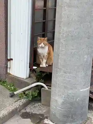 善成寺（旧堂）(愛知県)