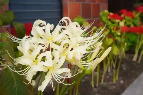 飛行神社(京都府)